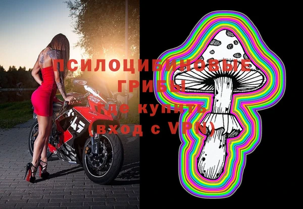 мяу мяу мука Алексин
