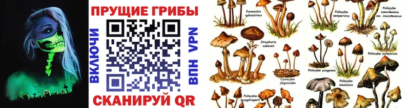 где продают   Холм  kraken   Галлюциногенные грибы мухоморы 