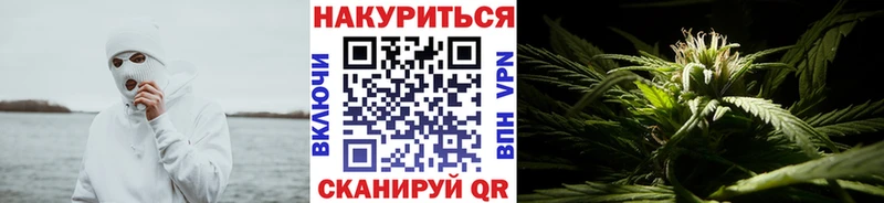 наркошоп  Холм  Каннабис марихуана 